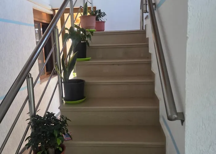 Emily House In