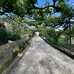 Emily House In *