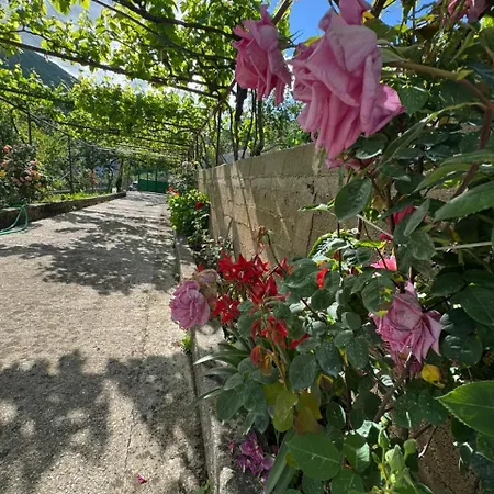 Emily House In Gjirokastër