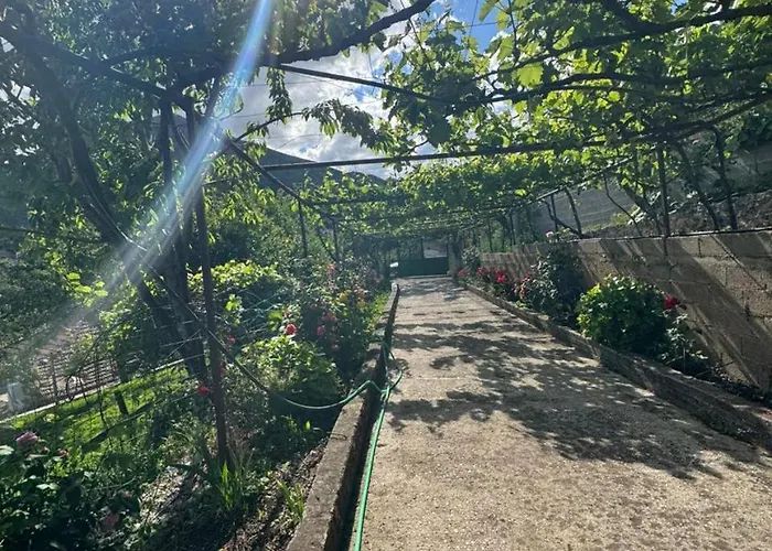 Apartman Emily House In *